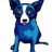 Blue Heeler